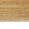 Dywany pokojowe Owalny Naturalny 205 x 305 cm Juta