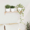 Ścienny Stojak Wiszący Naturalny 62 x 10 x 12,5 cm Lity Bukowy