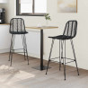 Krzesło barowe 2 pcs Czarny 44,5 x 53 x 111 cm Rattan i żelazo