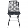 Krzesło jadalniane 2 pcs Czarny 44 x 47 x 85 cm Rattan i żelazo