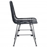 Krzesło jadalniane 2 pcs Czarny 44 x 47 x 85 cm Rattan i żelazo