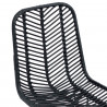Krzesło jadalniane 2 pcs Czarny 44 x 47 x 85 cm Rattan i żelazo