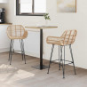 Krzesło barowe 2 pcs Naturalny 55 x 52 x 92 cm Rattan i żelazo