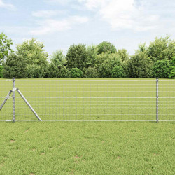 Słupek ogrodzeniowy. 2 pcs Srebrny 50 cm