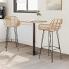 Krzesło barowe 2 pcs Naturalny 55 x 52 x 105 cm Rattan i żelazo