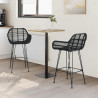 Krzesło barowe 2 pcs Czarny 55 x 52 x 92 cm Rattan i żelazo