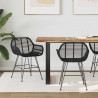 Krzesło jadalniane 2 pcs Czarny 55 x 50 x 74 cm Rattan i żelazo