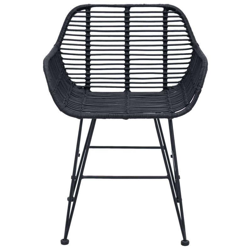 Krzesło jadalniane 2 pcs Czarny 55 x 50 x 74 cm Rattan i żelazo