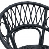 Krzesło jadalniane 2 pcs Czarny 49 x 51 x 81 cm Rattan i żelazo