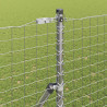 Słupek ogrodzeniowy. 2 pcs Srebrny Stal Malowana Proszkowo