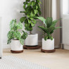 Stołek Roślinny 3 pcs Brązowy Drewno mahoniowe