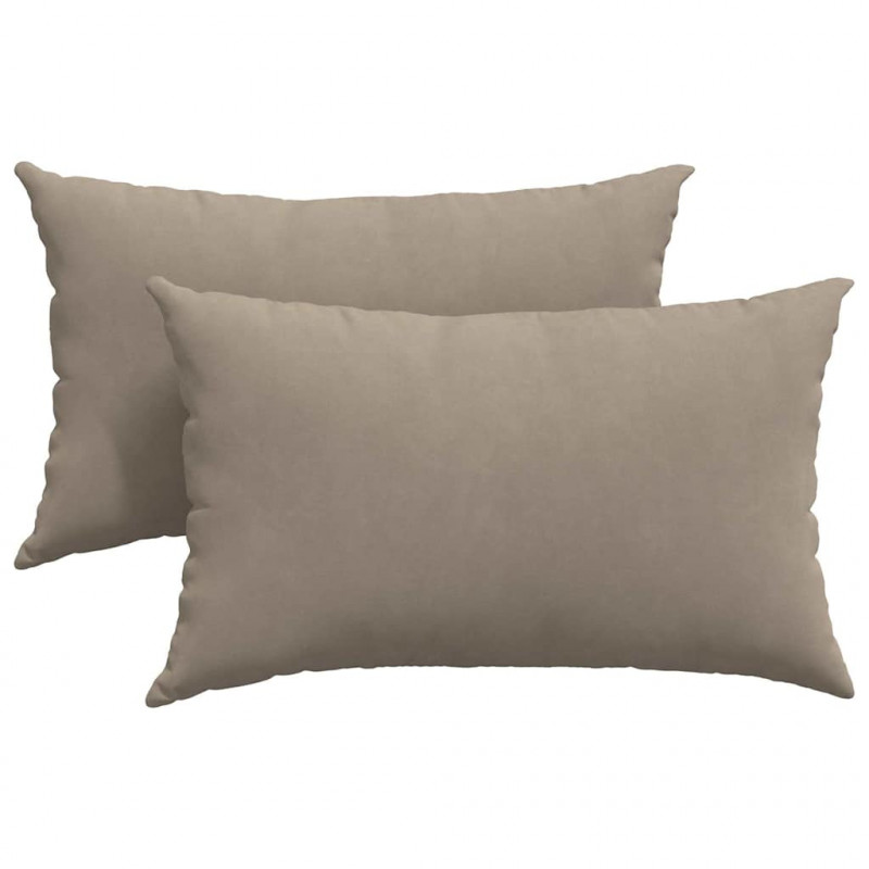 Poduszki na sofę 2 pcs Ciemnoszary 50 x 30 cm tkanina