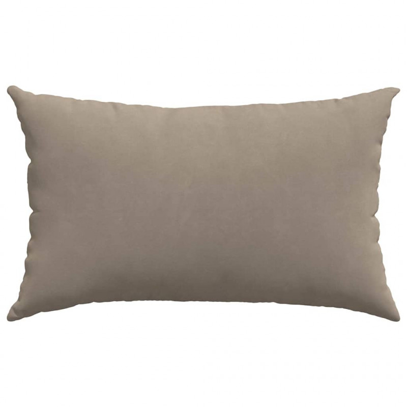 Poduszki na sofę 2 pcs Ciemnoszary 50 x 30 cm tkanina