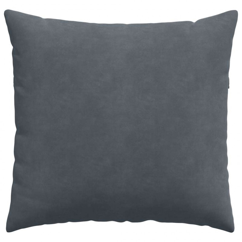 Poduszki na sofę 2 pcs Ciemnoszary 45 x 45 cm