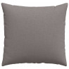 Poduszki na sofę 2 pcs Ciemnoszary 50 x 50 cm tkanina