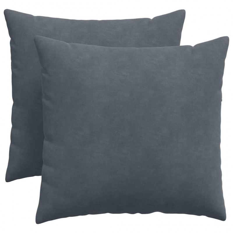 Poduszki na sofę 2 pcs Ciemnoszary 50 x 50 cm