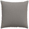Poduszki na sofę 2 pcs Ciemnoszary 60 x 60 cm tkanina