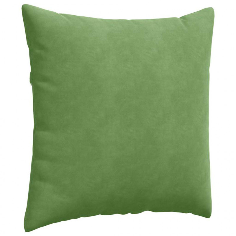 Poduszki na sofę 2 pcs Jasnozielony 60 x 60 cm