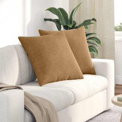 Poduszki na sofę 2 pcs Brązowy 60 x 60 cm Tkanina sztruksowa