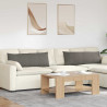 Poduszki na sofę 2 pcs Jasnoszary 120 x 40 cm
