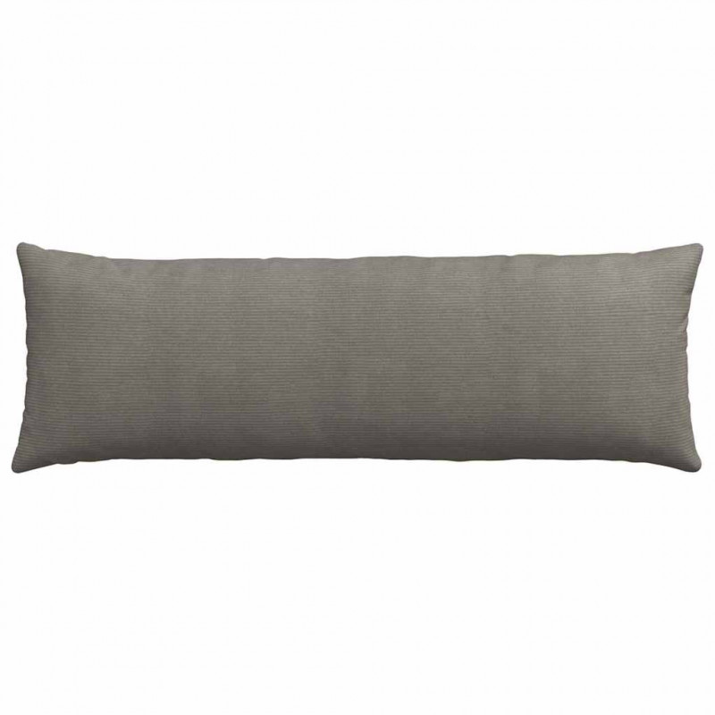 Poduszki na sofę 2 pcs Jasnoszary 120 x 40 cm