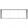 Donica Antracyt 290 x 100 x 45 cm Stal Galwanizowana