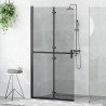 Ściana prysznicowa Walk-In Czarny 100 x 6,5 x 190 cm