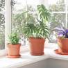Okrągła doniczka na kwiaty 6 pcs Czerwony ceglasty Ø 19 x 16 cm