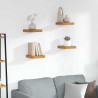 Półka ścienna z przechowywaniem 4 pcs Brązowy 23 x 23,5 x 4 cm