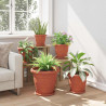 Okrągły Talerzyk Kwiatowy 6 pcs Czerwony ceglasty Ø 27 x 2,5 cm