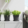 Okrągły Talerzyk Kwiatowy 6 pcs Czarny Ø 15,5 x 2 cm