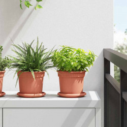 Okrągły Talerzyk Kwiatowy 24 pcs Czerwony ceglasty Ø 14 x 2 cm
