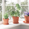 Okrągły Talerzyk Kwiatowy 24 pcs Czerwony ceglasty Ø 14 x 2 cm