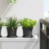 Okrągły Talerzyk Kwiatowy 24 pcs Czarny Ø 14 x 2 cm