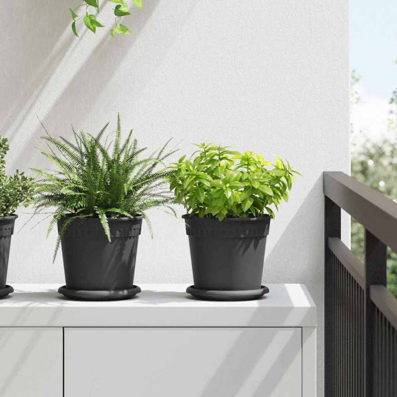 Okrągły Talerzyk Kwiatowy 24 pcs Czarny Ø 15,5 x 2 cm