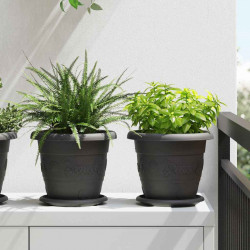 Okrągły Talerzyk Kwiatowy 24 pcs Czarny Ø 17,5 x 2 cm