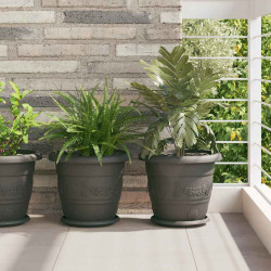 Okrągły Talerzyk Kwiatowy 24 pcs Czarny Ø 21,5 x 2,5 cm