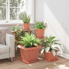 Kwadratowa doniczka na kwiaty 6 pcs Czerwony ceglasty