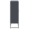 Szafka, antracytowa, 68,5x38,5x123,5 cm, stal