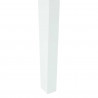 Krzesła jadalne 2 pcs Biały 42 x 47.5 x 81 cm Drewno Gumowe