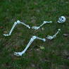 Szkielet Halloween Biały 45,5 x 13 cm Z tworzywa sztucznego