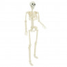 Szkielet Halloweenowy 2 pcs Biały 85 cm PVC