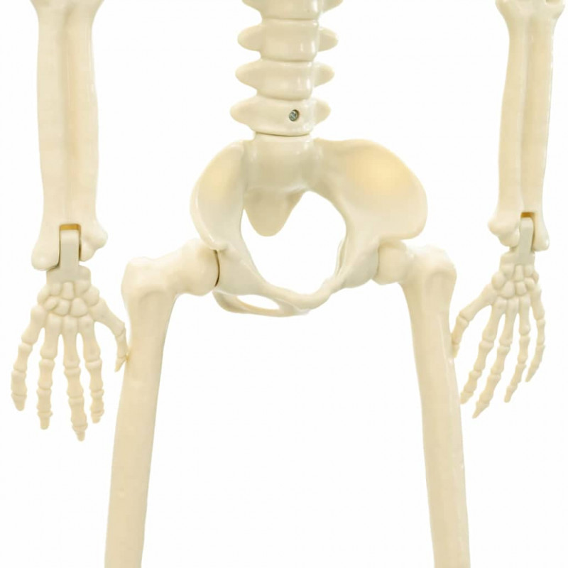 Szkielet Halloweenowy 2 pcs Biały 85 cm PVC