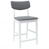 Krzesła jadalne 2 pcs Biały 48 x 49 x 95 cm Drewno Gumowe