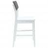 Krzesła jadalne 2 pcs Biały 48 x 49 x 95 cm Drewno Gumowe
