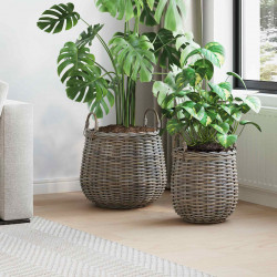 Kosz na rośliny z przechowywaniem 2 pcs Szary Rattan Lacak
