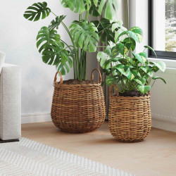 Kosz na rośliny z przechowywaniem 2 pcs Brązowy Rattan Lacak