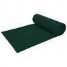 Fleece Ochronny dla Roślin Przed Mrozem Zielony 100 x 1,6 m