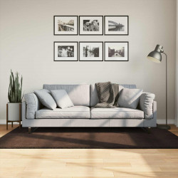 Dywany pokojowe HUARTE Brązowy 170 x 120 cm Poliester