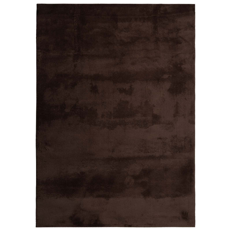 Dywany pokojowe HUARTE Brązowy 340 x 240 cm Poliester